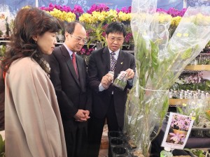 台灣蘭花產銷發展協會理事長高紀清(圖右),和沈斯淳代表賢伉儷說明蘭苗培植的方法