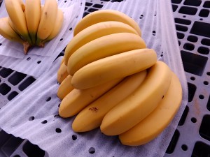 鮮やかなバナナ。