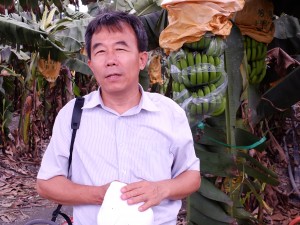 台湾香蕉研究所趙治平所長