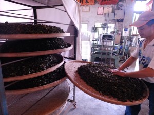 発酵工程に取り掛かる許時穏さん。