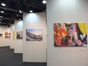貓夫人於7月17日至29日,在東京新宿舉辦攝影展