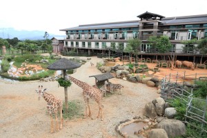 レオフーリゾート(動物園のなかにホテルがある)は好評