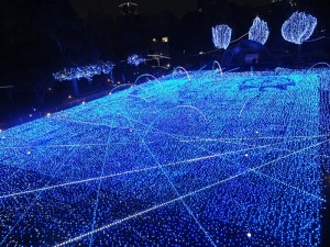 ２０００平方公尺大的星光花園上，使用約２８萬個ＬＥＤ燈飾，營造浩瀚宇宙的氛圍