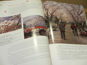 機内誌で福岡の魅力を特集