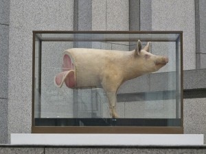 日本藝術家吉村益信的作品《豚;pig'Lib;》1994, Collection of OITA ART MUSEUM (Insatallation view of Yokohama Triennale 2014)