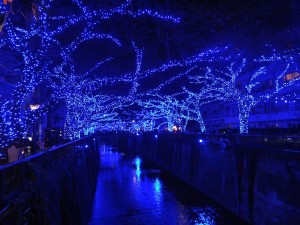 從中目黑車站為起點,沿岸來回約1公里長,點燈時間為即日起至12月25日,每天17點至21點間