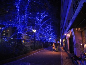 目黑川沿岸點綴上約40萬顆LED燈,瞬時讓街景多幾分神祕夢幻的感覺
