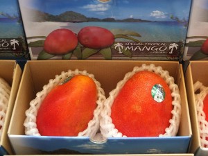 台湾マンゴーの主要生産品種・愛文(アーウィン)