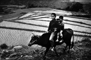 作品攝於桃園復興鄉,1974年(照片提供:台灣文化中心)