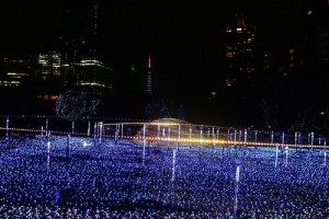 從星光花園可以遠眺東京鐵塔