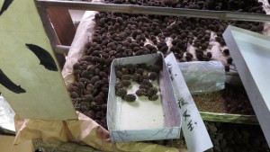 來自草木的染料