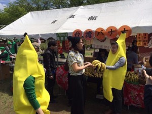 南投縣集集鎮長陳紀衡親自穿上香蕉裝向日本民眾推銷集集山蕉