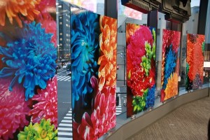 日本攝影師蜷川實花在台灣文化中心展出菊花系列作品