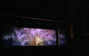 舞者疊在一起演繹櫻花樹綻放的意象