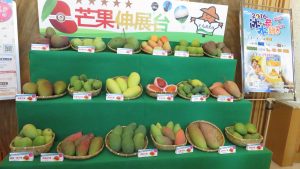 芒果品種繁多