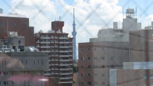 廚房窗可遠眺SKYTREE