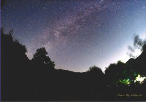 在奧多摩的深山體驗星空浴,也是森林療法的課程之一(Photo by Namiki)