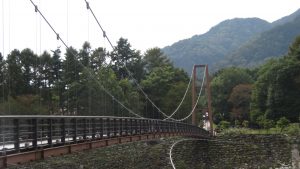 吊橋兩岸植栽生態優美