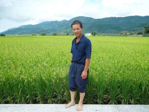 農家:2009十大經典好米得主を受賞した鍾錦海先生「生長はとてもいい」 農家:2009十大經典好米得主を受賞した鍾錦海先生「生長はとてもいい」