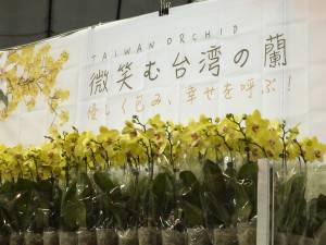世界らん展に台湾企業５社が出展