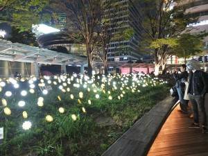 在六本木Ｈｉｌｌｓ內的草坪或花圃上約有１７００個使用太陽能電池的塑膠小花