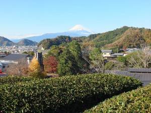 站在韮山反射爐後的山丘上，可遠眺富士山和韮山反射爐，將美景盡收眼底