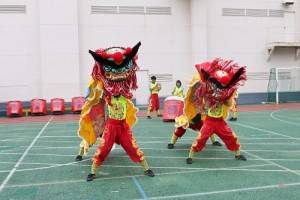 國立台灣體育運動大學學生在橫濱中華學院創校１１９周年文化祭上表演台灣獅