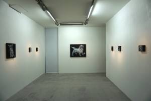 ギャラリーには15点の作品がゆったりと展示されている