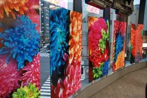 日本攝影師蜷川實花在台灣文化中心展出菊花系列作品