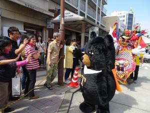 台灣喔熊與沿途民眾互動