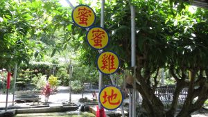 蜜蜜雞地採複合經營