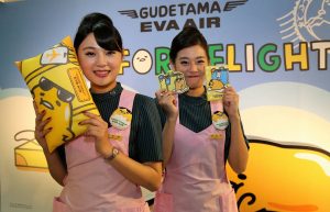 機内アイテムもぐでたま