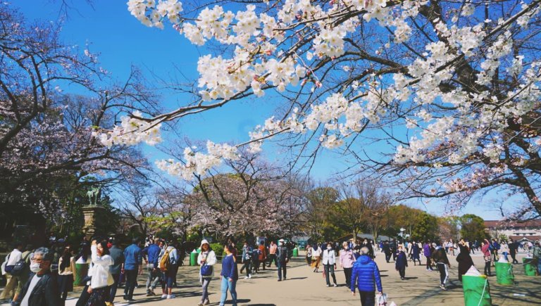 小池：疫情擴大時不排除東京封城