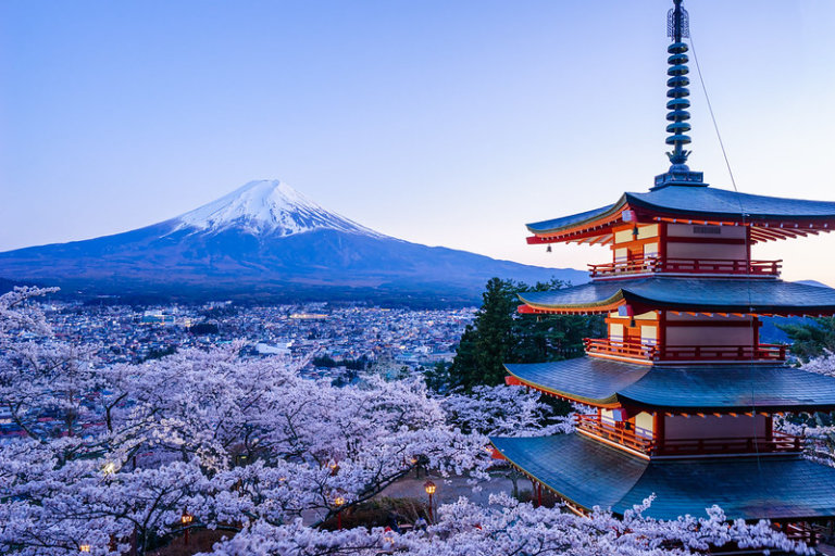 【小編專欄】從各種角度認識富士山