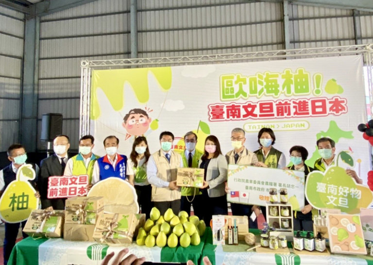 台南文旦搶攻日本市場 9月中旬首櫃啟航