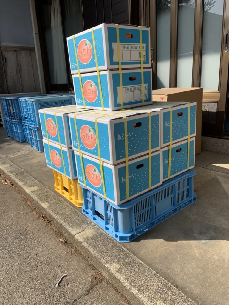 四國華僑總會寄贈象徵吉利的橘子給大阪中華學校賀年