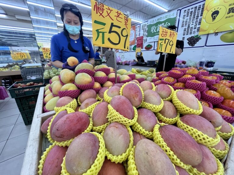中国、害虫検出で台湾産マンゴーの輸入を停止　恣意的と台湾反発